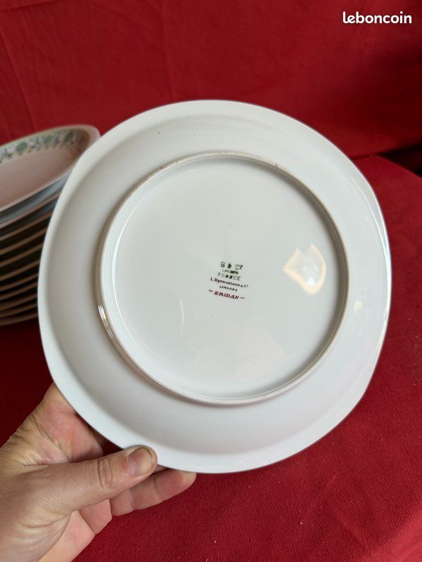 12 assiettes plates porcelaine de Limoges Bernardaud (image 7)