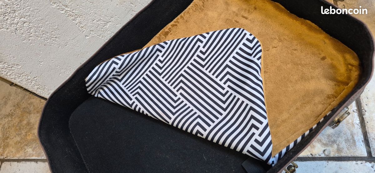 Panier chat ou petit chien valise (image 2)