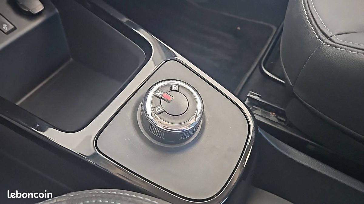 Dacia spring expression (image 16)