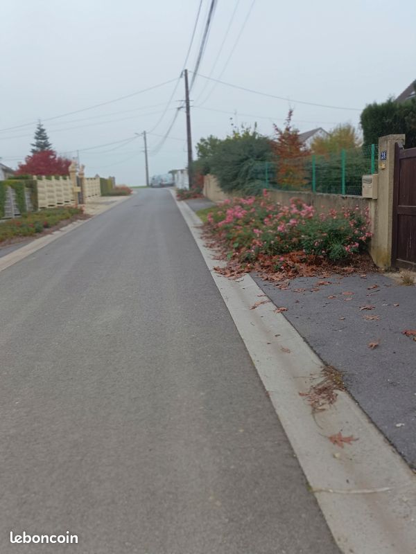 Location (image 1)
