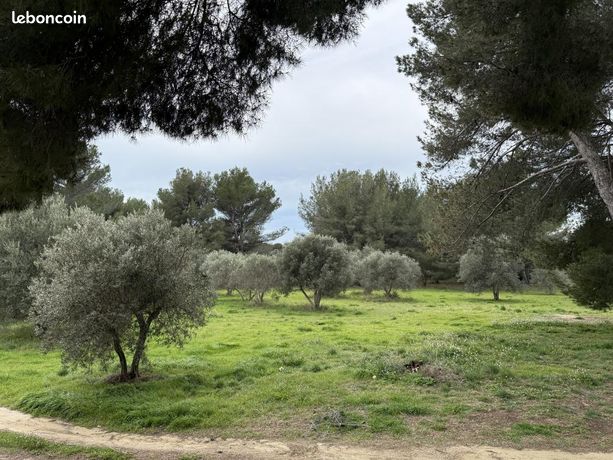 Terrain 543 m² Saint Chamas
