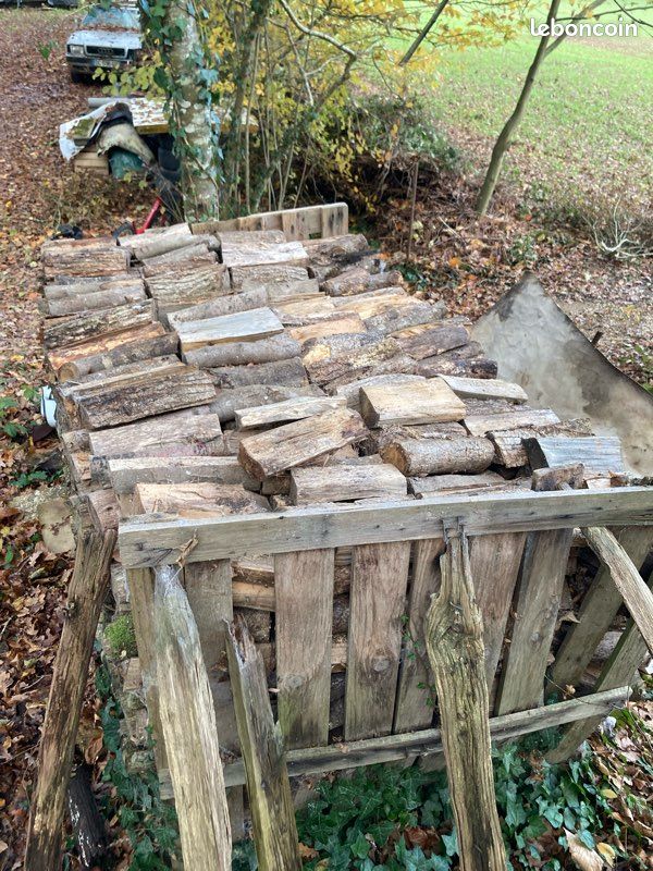 Bois buche 25cm (image 1)
