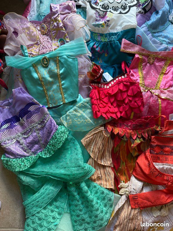 Déguisement robe princesse Disney (image 5)
