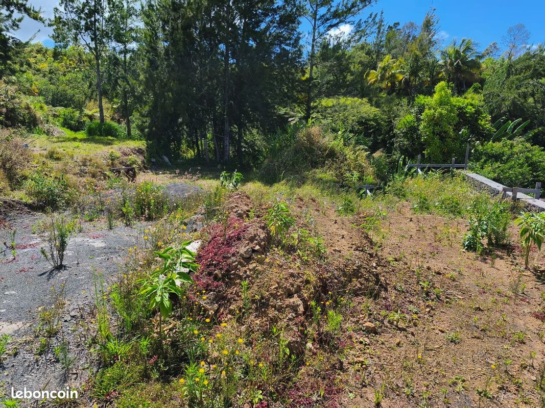 Terrain 600 m² PETITE ILE · à Petite-Île · 89 000 €