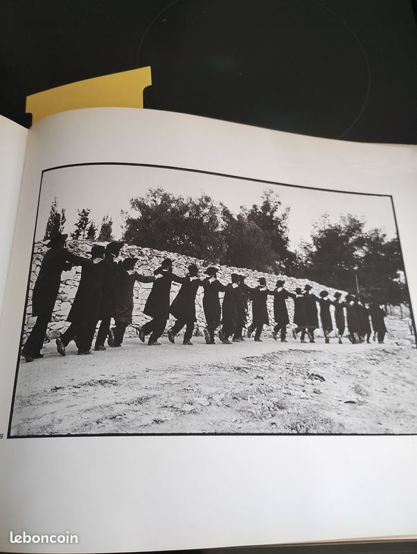 Livre Photos " la dance des fidèles" Léonard FREED (image 10)