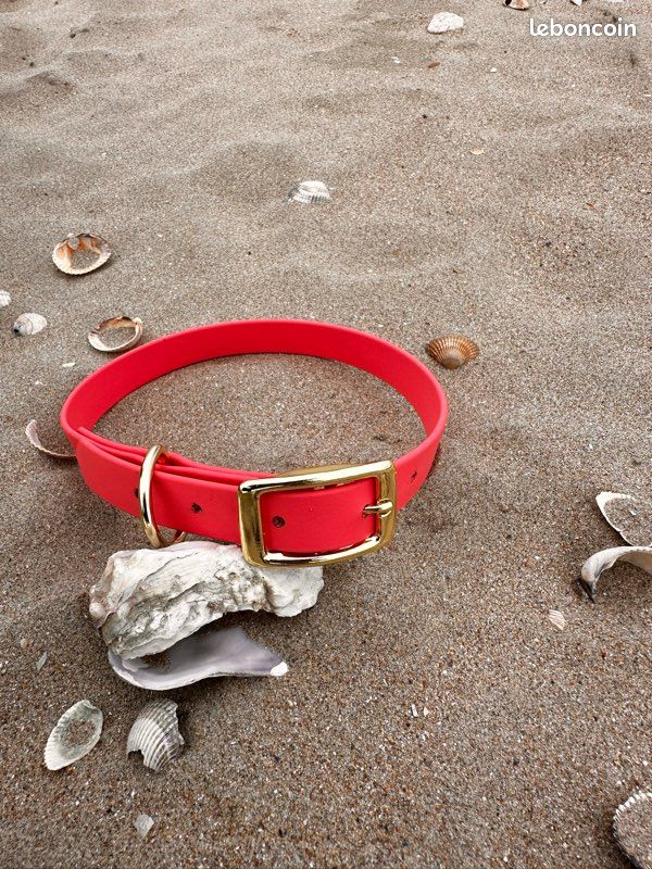 Collier biothane chien (image 1)