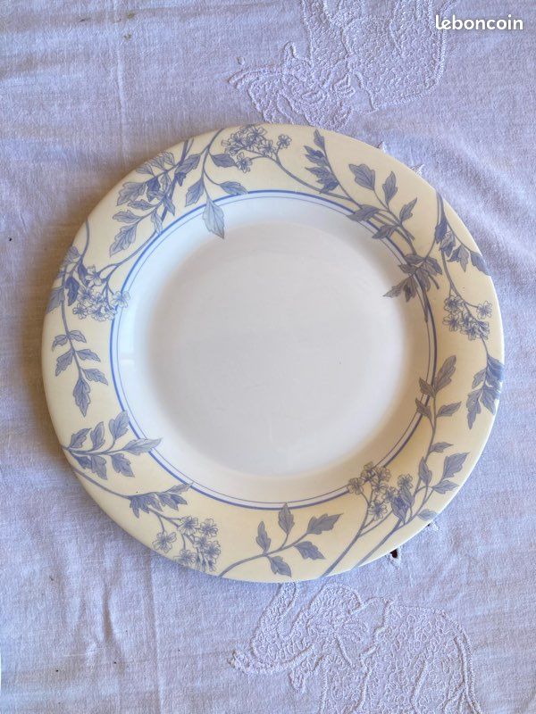 6 assiettes plates Arcopal (image 6)