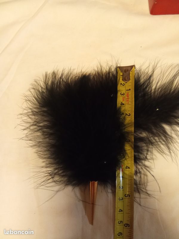 Objet inconnu, accessoire de mode ? (image 5)