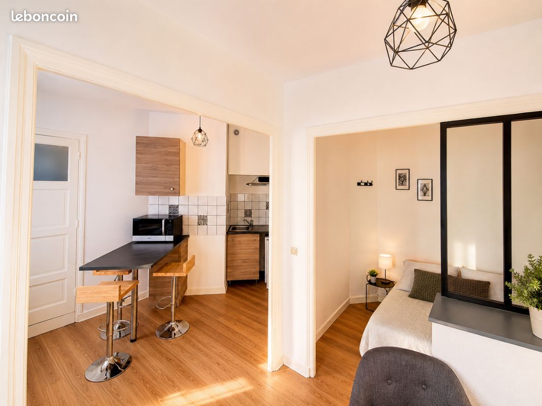 Appartement 1 pièce 23 m² · à Le Puy-en-Velay · 23 m² · 355 €/mois