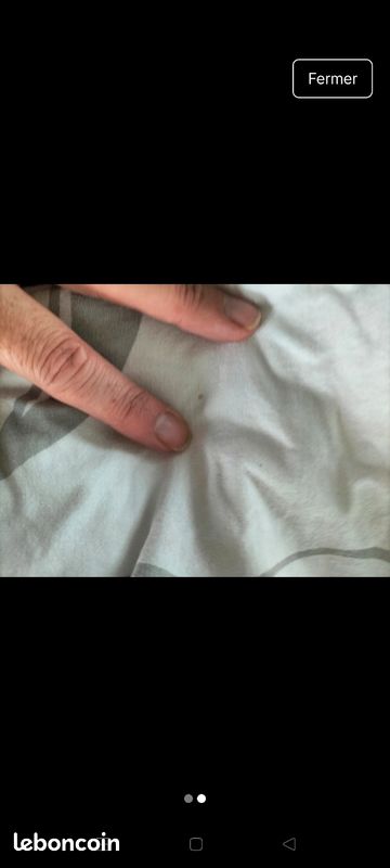 Parure de lit la fée clochette lit une personne (image 2)