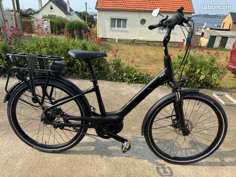 Vélo à assistance électrique Giant (image 2)