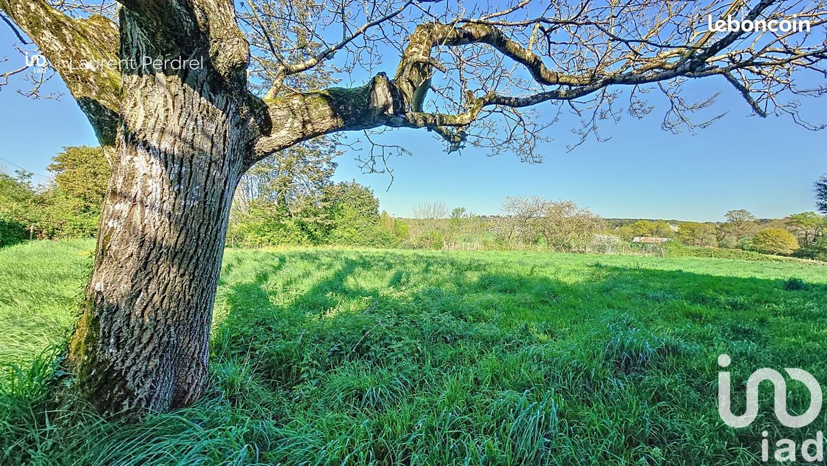 Terrain 1037 m² · à Allaire · 1 037 m² · 31 000 €