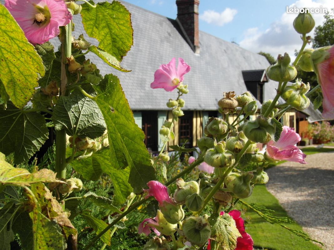 Maison 7 pièces 130 m² · à Harcourt · 130 m² · 259 000 €