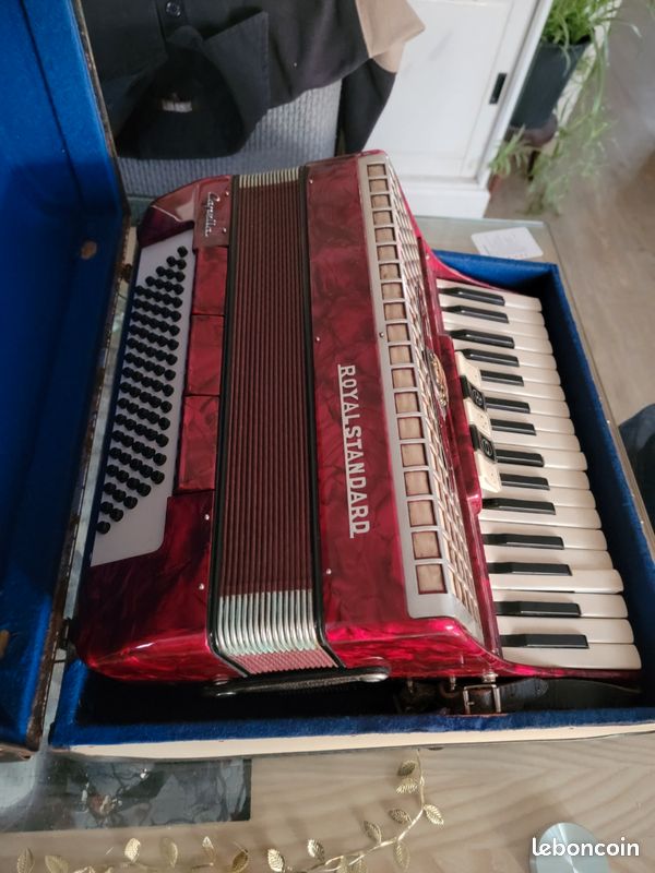 Accordeon (image 3)