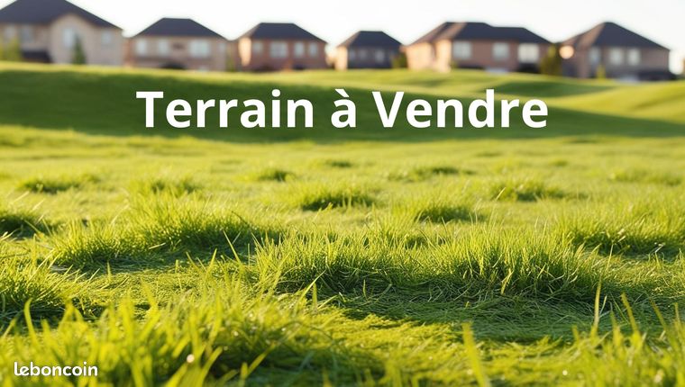 https://img.leboncoin.fr/api/v1/lbcpb1/images/ef/75/28/ef752877bc8f3bedd0c319b42a94481e2a19901a.jpg?rule=ad-image