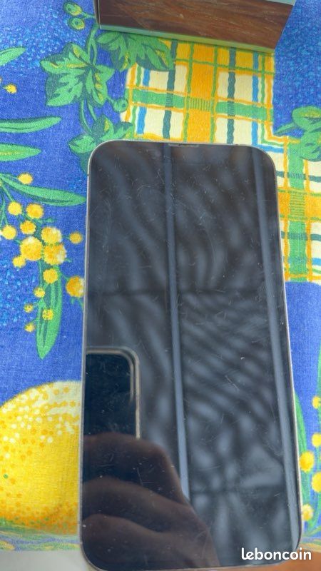 IPhone 13 Pro (image 1)