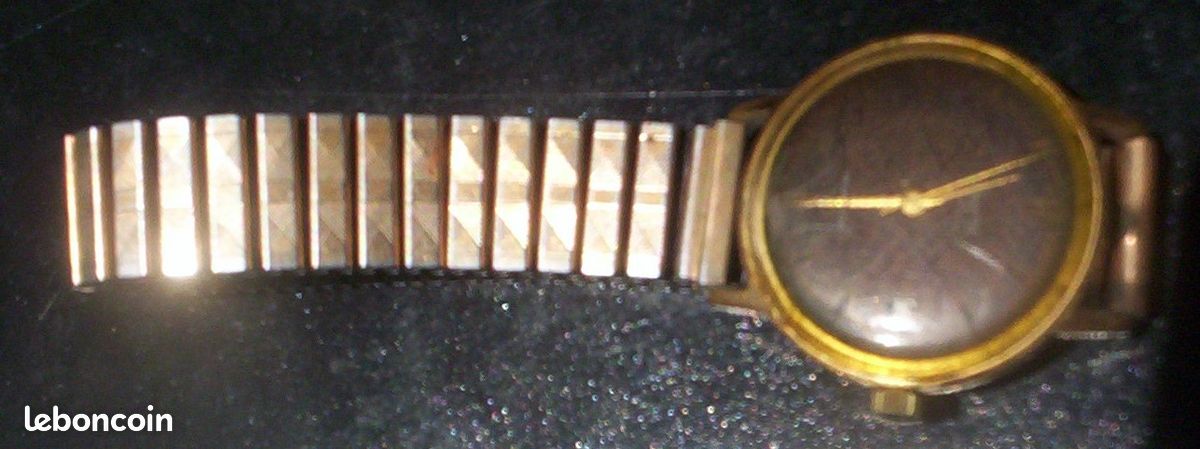 Balancier Complet Pour Montre AS Schild 976 – Avec Incabloc