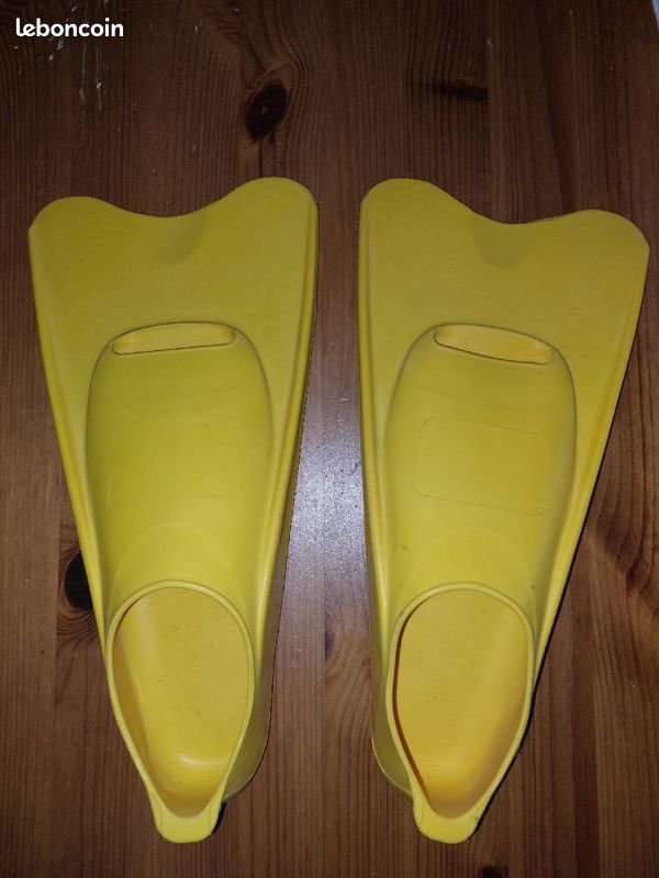 Palmes courtes 36-37 (image 1)