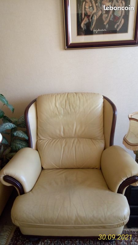 Fauteuil en cuir avec pouf (image 1)