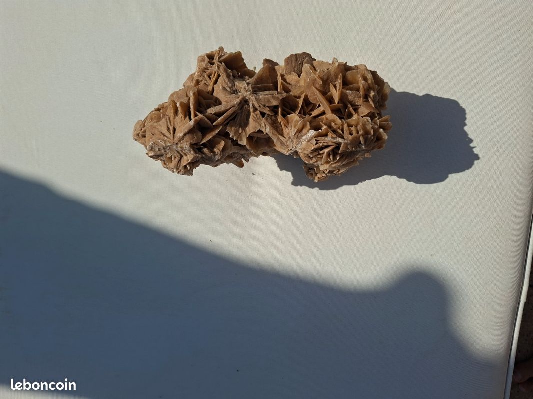 Rose des sables (image 1)