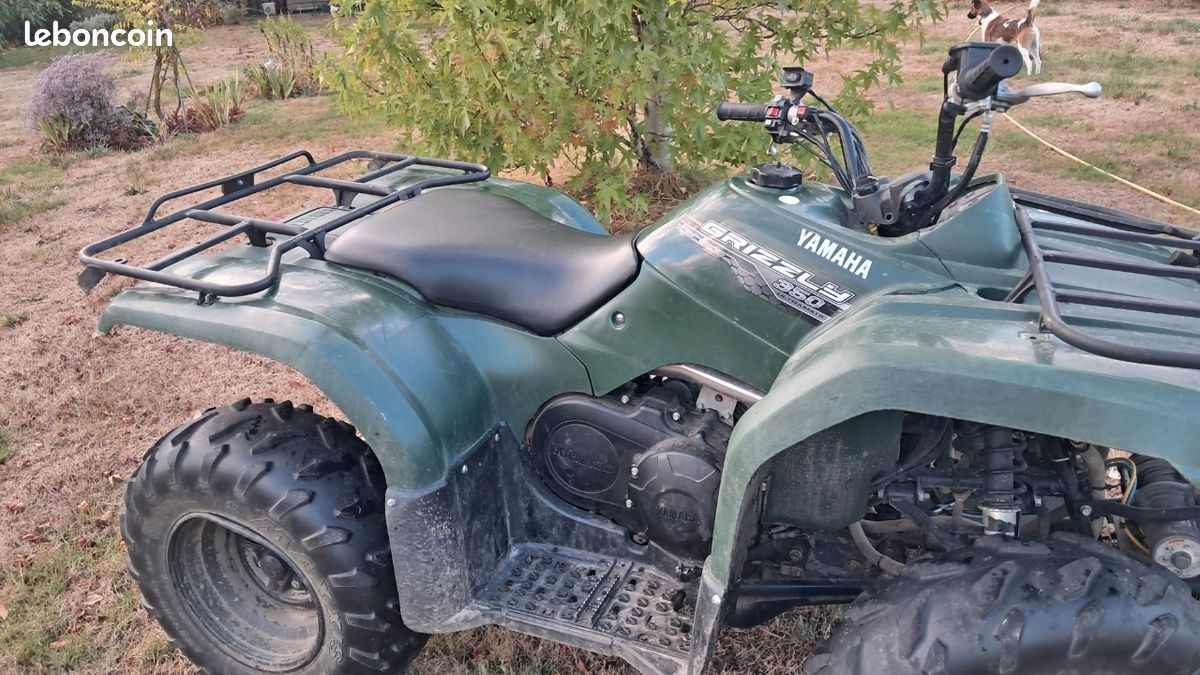 Quad grizzly 350 2024 (image 2)