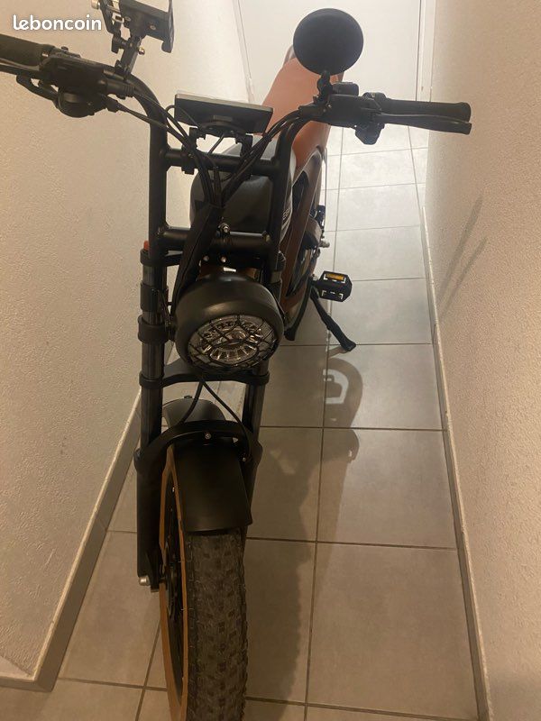 Vélo moto SAMEBIKE (image 10)