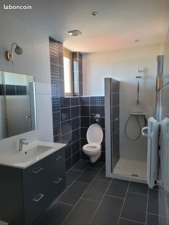 Appartement T3 quartier Thermale Vittel