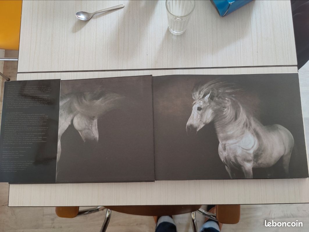 Chevaux par Gouraud jean-louis, arthus-bertrand éditions du chêne (image 3)