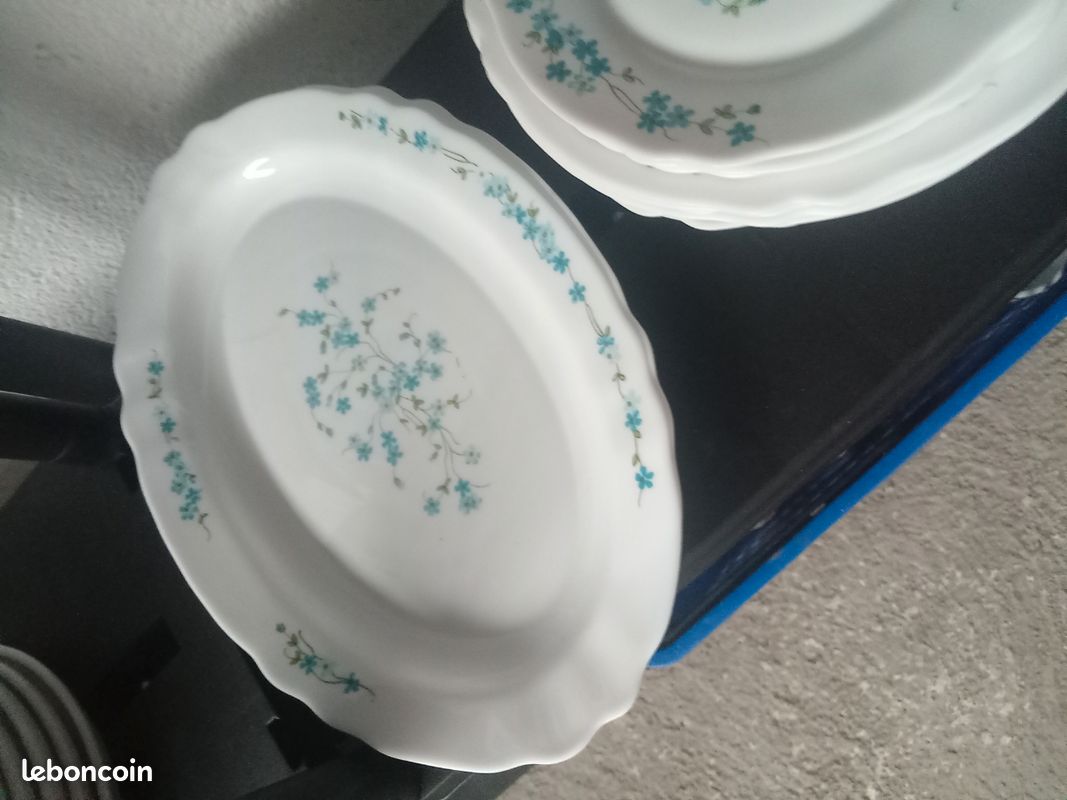 LOT De 18 Assiettes Arcopal MYOSOTIS Des Années 70 : Creuses, Plates Et Dessert