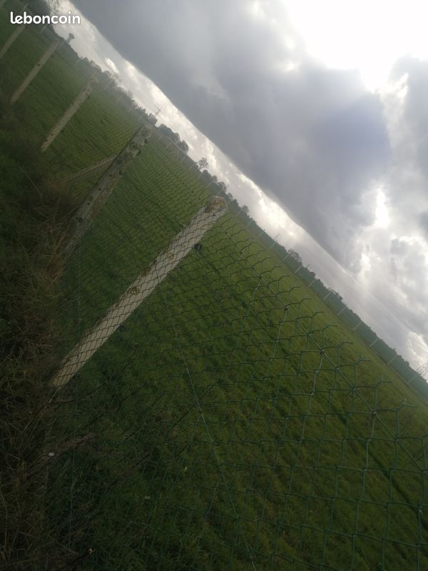 Terrain agricoles · à Saint-Vincent-Cramesnil · 45 000 €