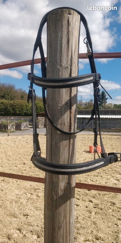 Filet (bridon) taille cheval noir attaches mousquetons (image 1)
