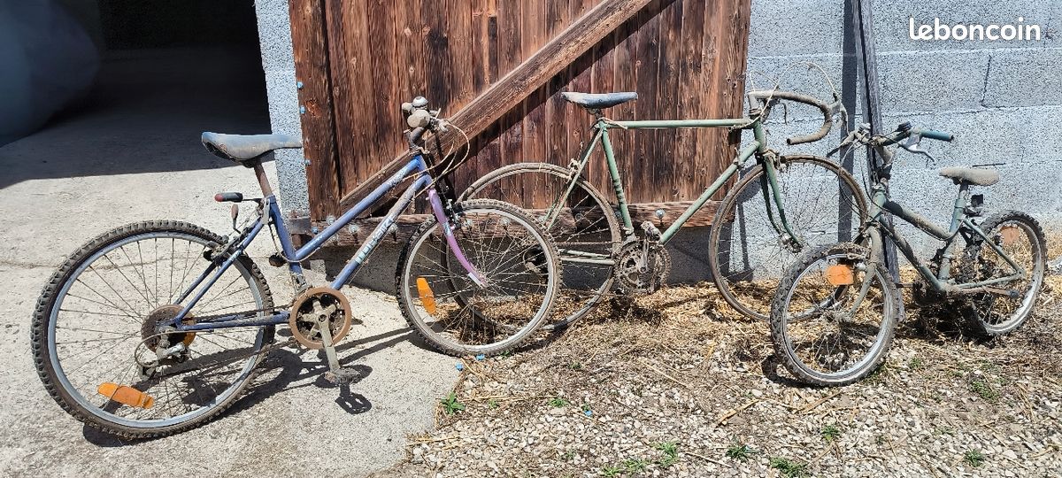Trois Vélos homme, femme, enfant (image 4)