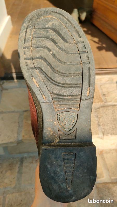Bottes d'écurie Ariat (image 4)