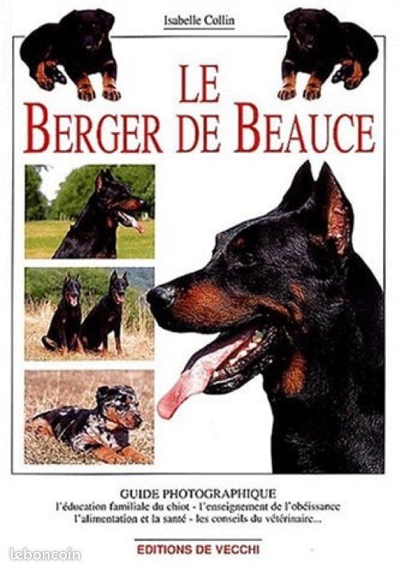 Le berger de Beauce (image 1)