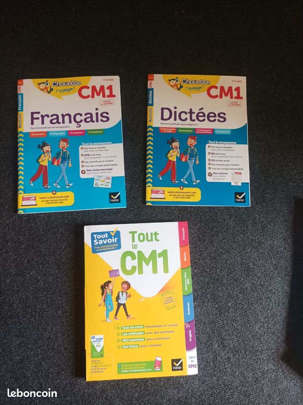 Annale cm1 Lot Manuel tout français dictée (image 1)