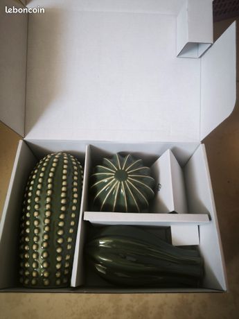 Cactus dcoratif -SJLSLIGT ikea - Dcoration