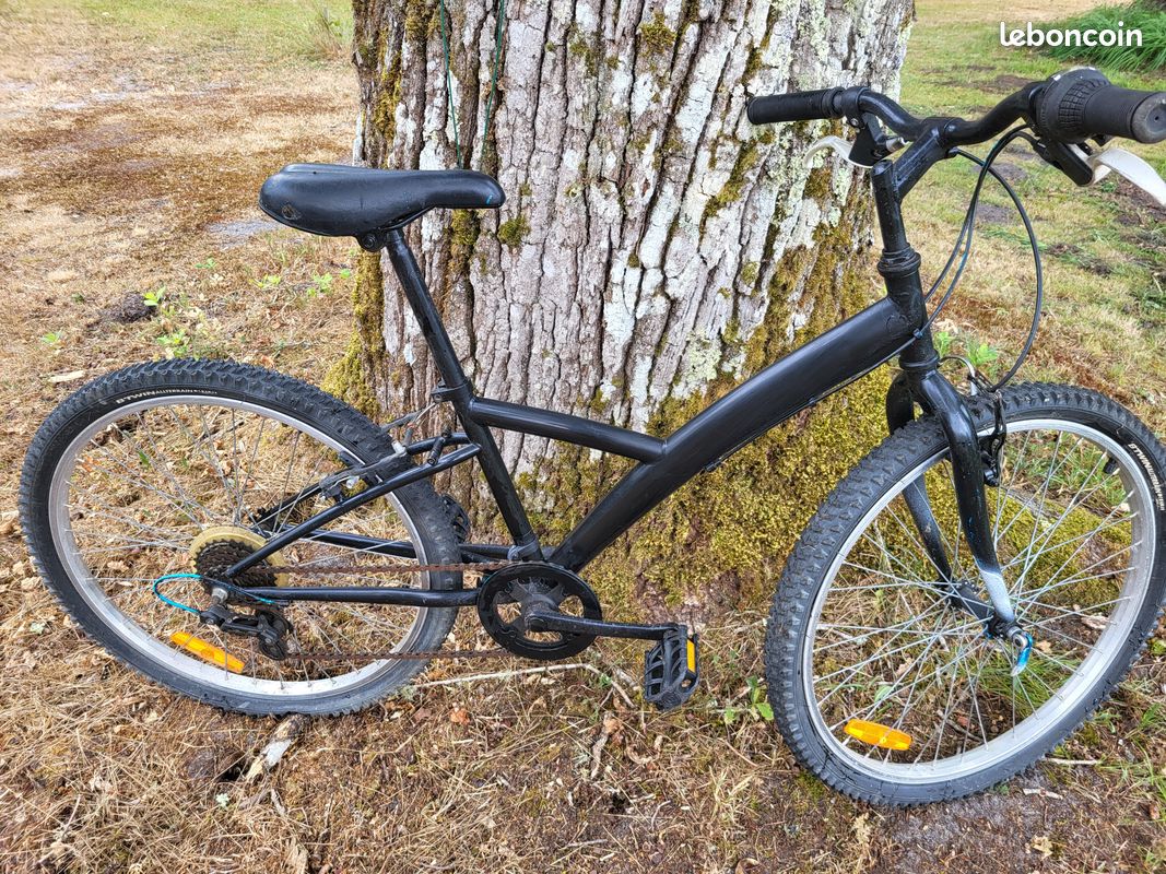 Vélo repeint en noir (image 1)