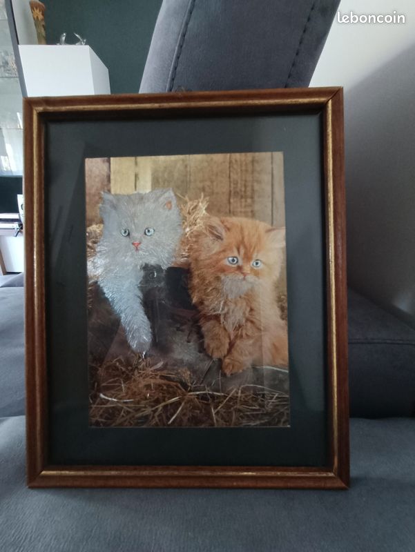 Un cadre chats CADH93 (image 1)