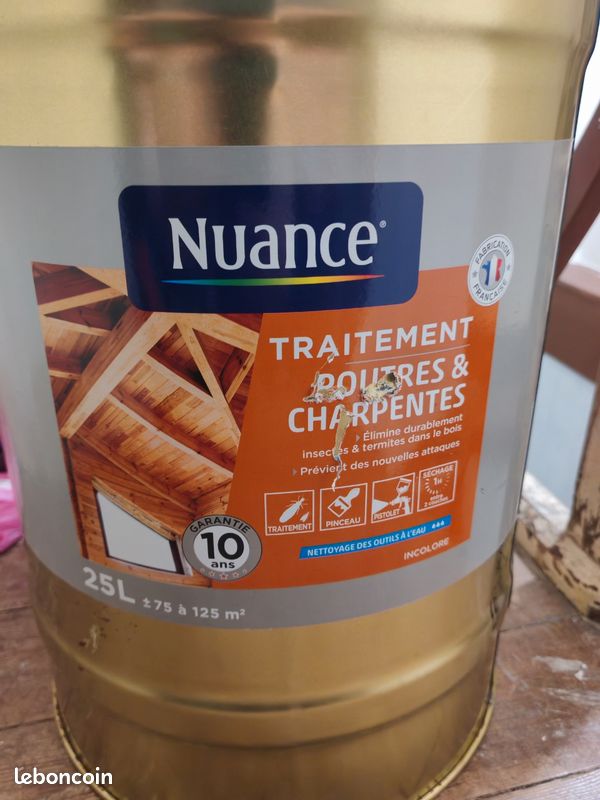Traitement poutre charpente xylophages termite bricolage (image 5)