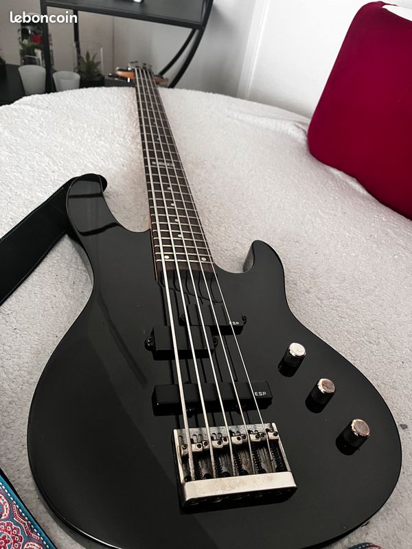 ESP LTD B-55 BLK basse électrique 5 cordes (image 1)