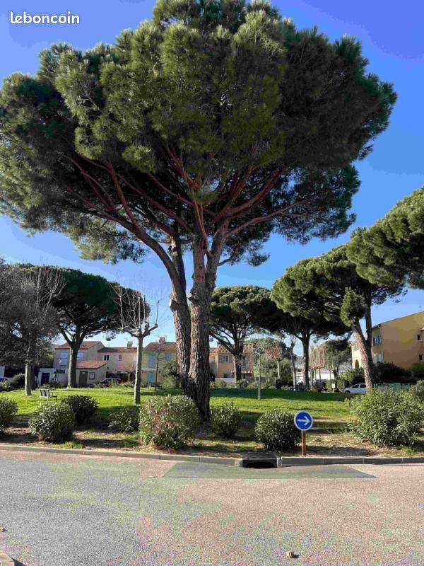 Maison 3 pièces 44 m² · à La Londe-les-Maures · 44 m² · 215 000 €