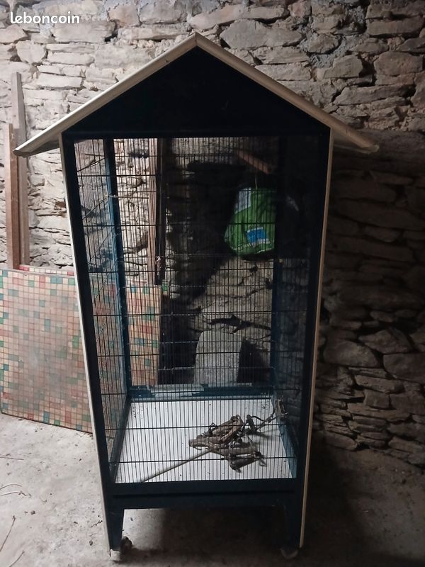 Cages oiseaux (image 2)