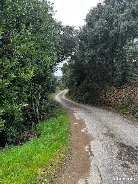 Terrain 6290 m² Le Bosc (image 7)