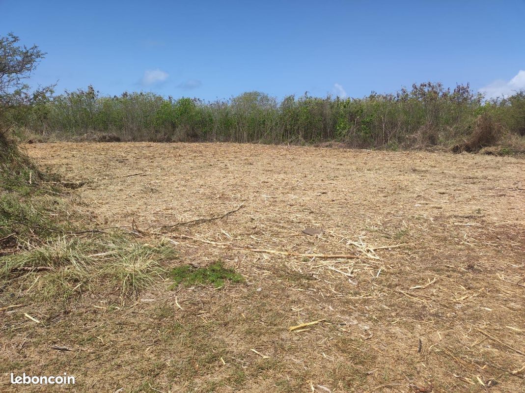 Terrain 346 m² · à Saint-François · 346 m² · 94 000 €
