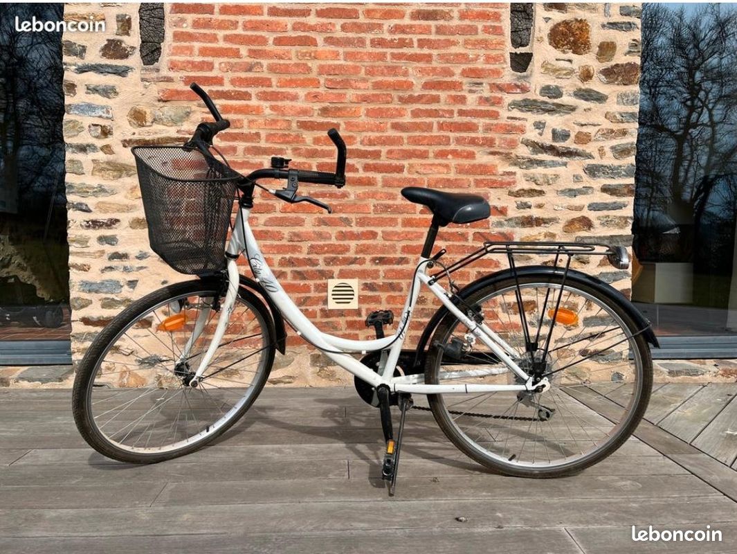 Vélo style Hollandeus très bon état (image 1)