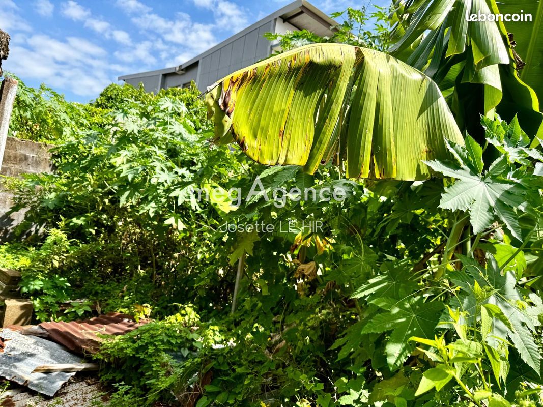 Terrain 223 m² · à Cayenne · 223 m² · 98 000 €