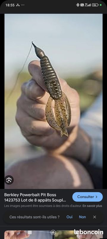 Leurre souple liquid mayhem incursion craw – 10cm (image 1)