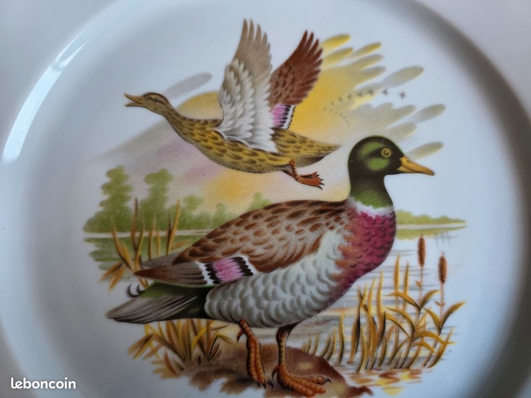 Lot de 6 assiettes plates octogonales décor chasse / gibier - 25,5 cm (image 9)