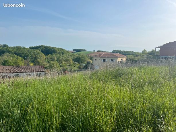 Terrain 1 500 m² Lamillarie