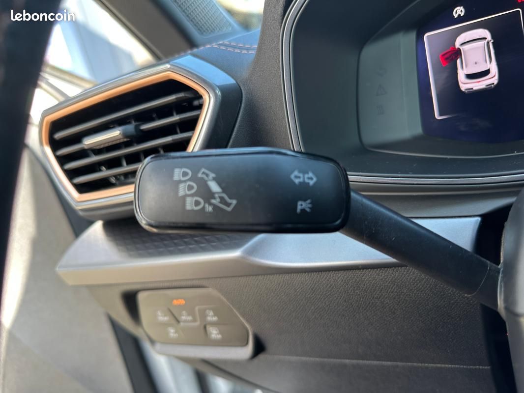 Cupra Formentor 2.0 TDI 150 ch DSG7 V (image 14)